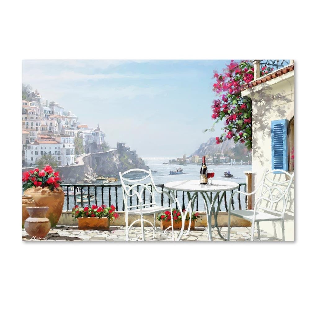 Trademark Fine Art ALI8660-C1624GG Canvas Art