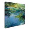 Trademark Fine Art Water LiIies III by Julia Purinton, 18x18-Inch view 2