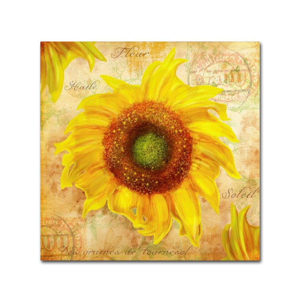 Trademark Fine Art Tuscan Flower 7 by ALI Chris, 18x18-Inch