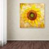 Trademark Fine Art Tuscan Flower 7 by ALI Chris, 18x18-Inch view 3