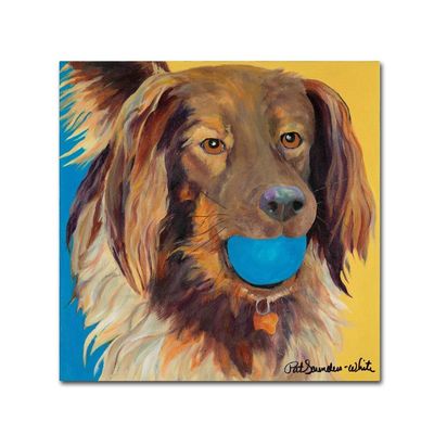 Trademark Fine Art Caleigh by Pat Saunders-White, 18x18-Inch-Inch