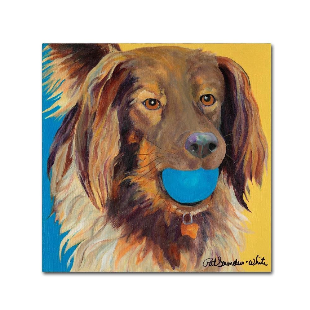 Trademark Fine Art Caleigh by Pat Saunders-White, 18x18-Inch-Inch