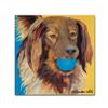 Trademark Fine Art Caleigh by Pat Saunders-White, 18x18-Inch-Inch view 1