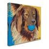 Trademark Fine Art Caleigh by Pat Saunders-White, 18x18-Inch-Inch view 2