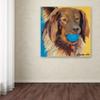 Trademark Fine Art Caleigh by Pat Saunders-White, 18x18-Inch-Inch view 3