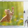 Ambesonne Cat Shower Curtain, Animal Theme Cat Hunting a Ladybug Nature Grass Dandelions Digital Print, Cloth Fabric Bathroom Decor Set with Hooks, 69" W x 75" L, Earth Yellow Pale Green view 1