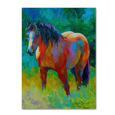 Buckskin II by Marion Rose, 18x24-Inch Canvas Wall Art