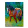 Buckskin II by Marion Rose, 18x24-Inch Canvas Wall Art view 1