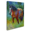 Buckskin II by Marion Rose, 18x24-Inch Canvas Wall Art view 2