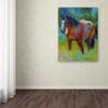 Buckskin II by Marion Rose, 18x24-Inch Canvas Wall Art view 3