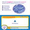 Diversity of Life Learning Center Game - Grades 6-9 view 3