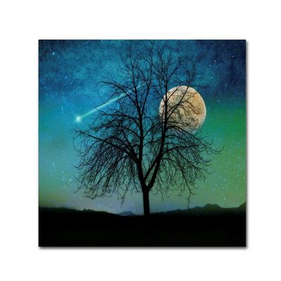Opalescent Sky by Tina Lavoie, 18x18-Inch Canvas Wall Art