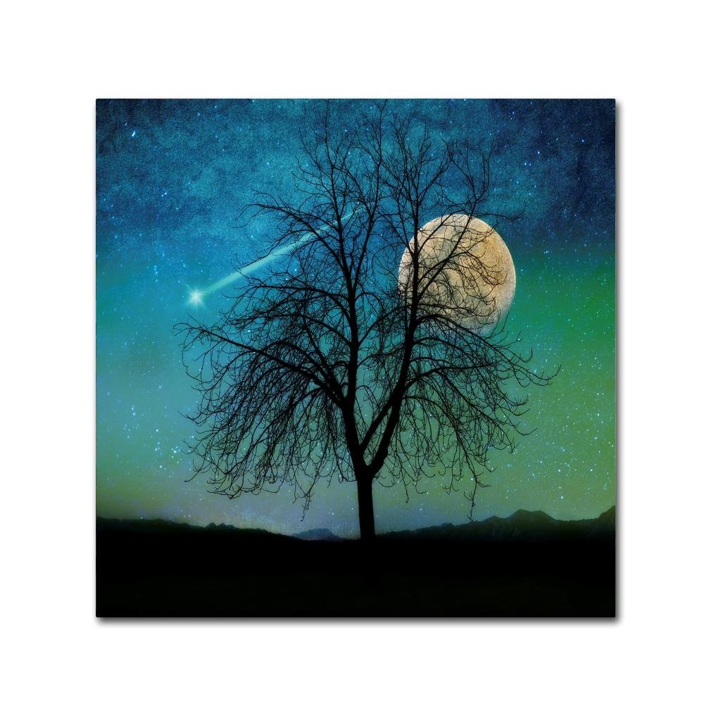 Opalescent Sky by Tina Lavoie, 18x18-Inch Canvas Wall Art