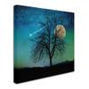 Opalescent Sky by Tina Lavoie, 18x18-Inch Canvas Wall Art view 2