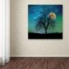 Opalescent Sky by Tina Lavoie, 18x18-Inch Canvas Wall Art view 3