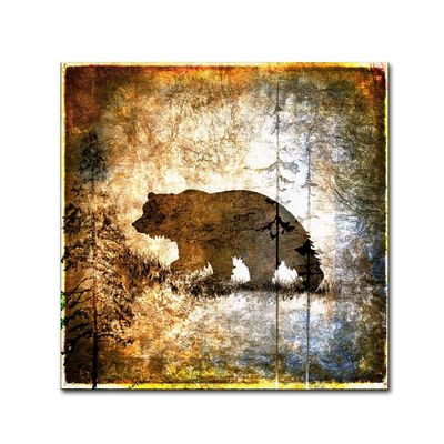 Trademark Fine Art High Country Bear by LightBoxJournal, 18x18-Inch-Inch