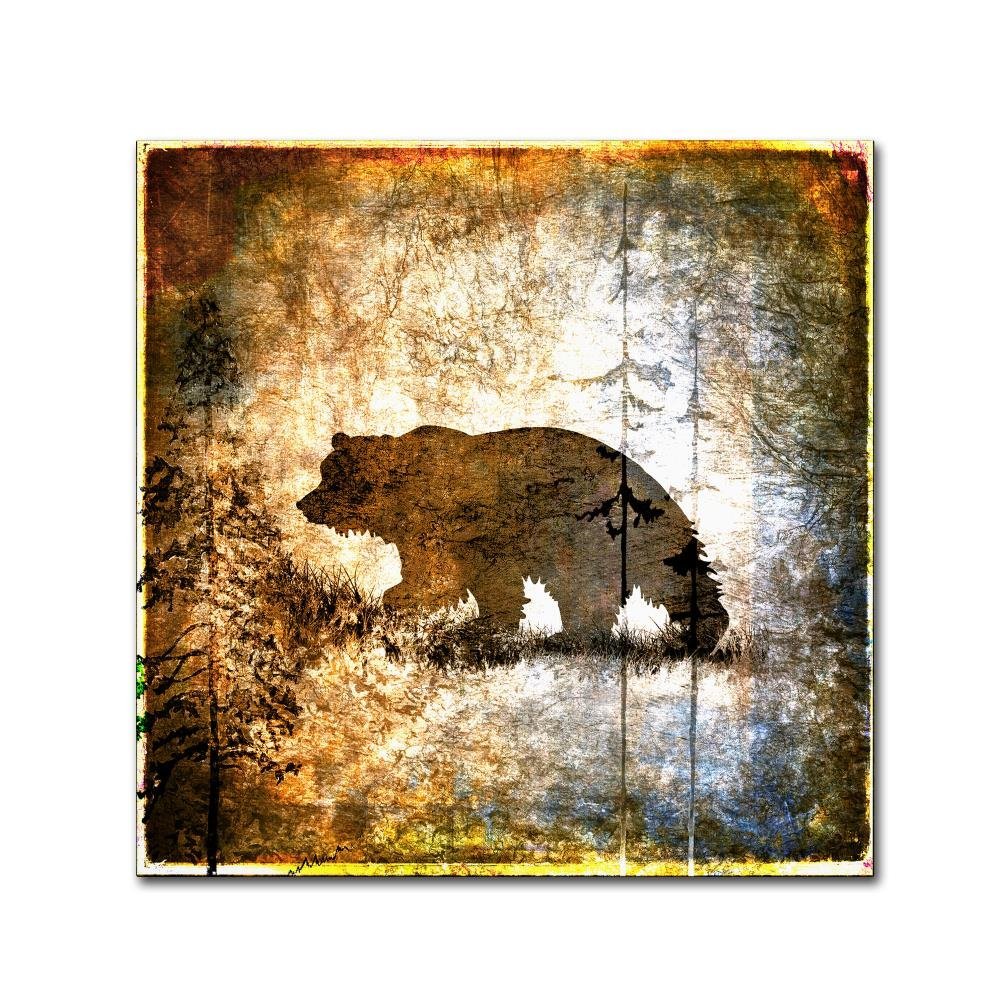 Trademark Fine Art High Country Bear by LightBoxJournal, 18x18-Inch-Inch