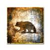 Trademark Fine Art High Country Bear by LightBoxJournal, 18x18-Inch-Inch view 1