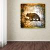 Trademark Fine Art High Country Bear by LightBoxJournal, 18x18-Inch-Inch view 2