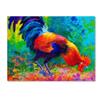 Trademark Fine Art Scratchin by Marion Rose, 18x24-Inch-Inch view 1