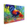 Trademark Fine Art Scratchin by Marion Rose, 18x24-Inch-Inch view 2