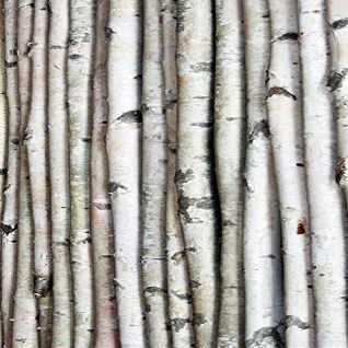 Wilson White Birch Decorative Poles - Natural Wood Bark Kiln Dried Home Dcor, 8' L x 2.5-3.5" D (2 Poles)