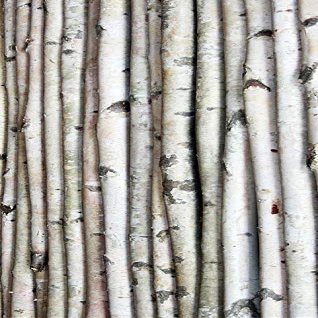 Wilson White Birch Decorative Poles - Natural Wood Bark Kiln Dried Home Dcor, 8' L x 2.5-3.5" D (2 Poles)