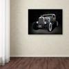 Trademark Fine Art ALI12672-C3547GG Canvas Art view 3