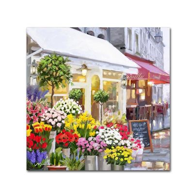 Trademark Fine Art ALI8923-C1818GG Canvas Art