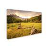 Trademark Fine Art Dan Ballard 'New Morning' Canvas view 2