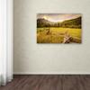 Trademark Fine Art Dan Ballard 'New Morning' Canvas view 3