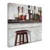 Trademark Fine Art ALI8558-C1818GG Canvas Art view 2