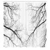 Ambesonne Forest Shower Curtain, Trees Branches Leafless Spooky Scary Image in a Gloomy Air Sky Scene Image, Cloth Fabric Bathroom Decor Set with Hooks, 69" W x 75" L, Cream and Black view 2
