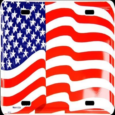 AES USA American Patriotic Waving License Plate 6x12 Standard Metal Tag Made in USA