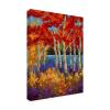 Summers End by Marion Rose, 18x24-Inch Canvas Wall Art view 1