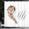 Ambesonne Animal Shower Curtain, Funny Cat in Hole with Claw Scratches Playful Kitten Pet Picture, Cloth Fabric Bathroom Decor Set with Hooks, 69" W x 84" L, White Brown view 3