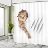 Ambesonne Animal Shower Curtain, Funny Cat in Hole with Claw Scratches Playful Kitten Pet Picture, Cloth Fabric Bathroom Decor Set with Hooks, 69" W x 84" L, White Brown view 4