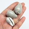PEPPERLONELY 25 PC Marginella Vetricosa Sea Shells, 1 Inch ~ 1-1/2 Inch view 1