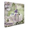 Trademark Fine Art ALI8914-C1818GG Canvas Art view 2