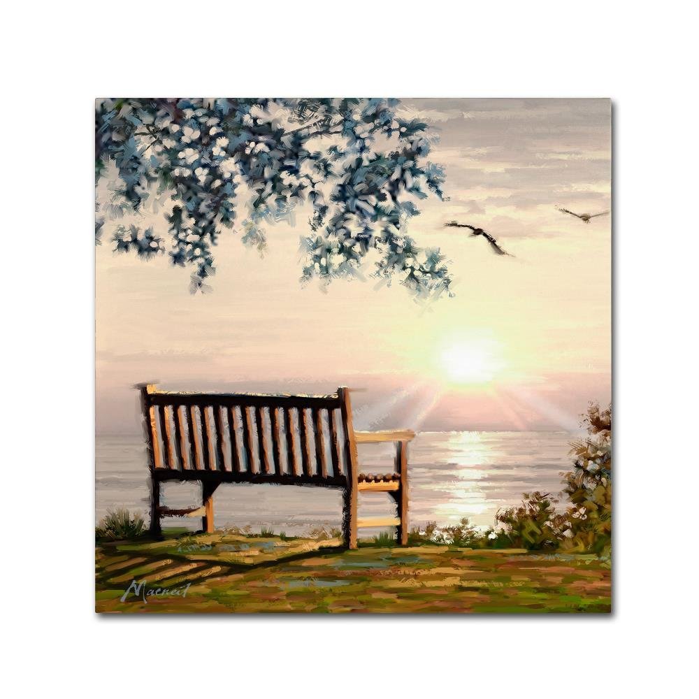 Trademark Fine Art ALI9136-C1818GG Canvas Art