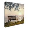 Trademark Fine Art ALI9136-C1818GG Canvas Art view 2