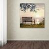 Trademark Fine Art ALI9136-C1818GG Canvas Art view 3