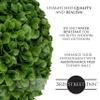 3rd Street Inn Medium Jasper Topiary Ball - Artificial Plant Set - Indoor/Outdoor Wedding Party Decor - Faux Foliage Garden Sphere - Tree and Bush Substitute (11", 6 Pack) view 3