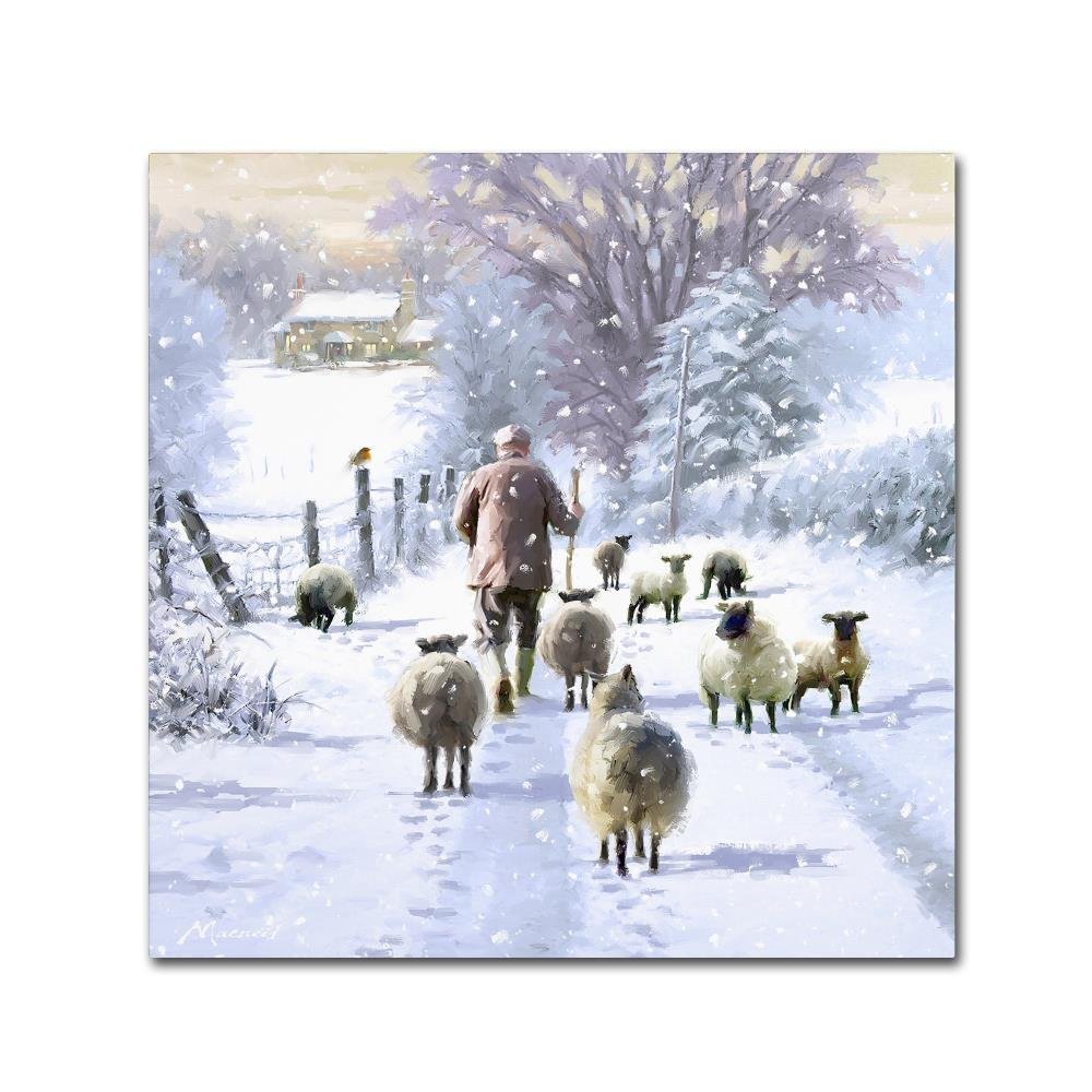 Trademark Fine Art Winter Shepherd by The Macneil Studio, 24x24-Inch-Inch