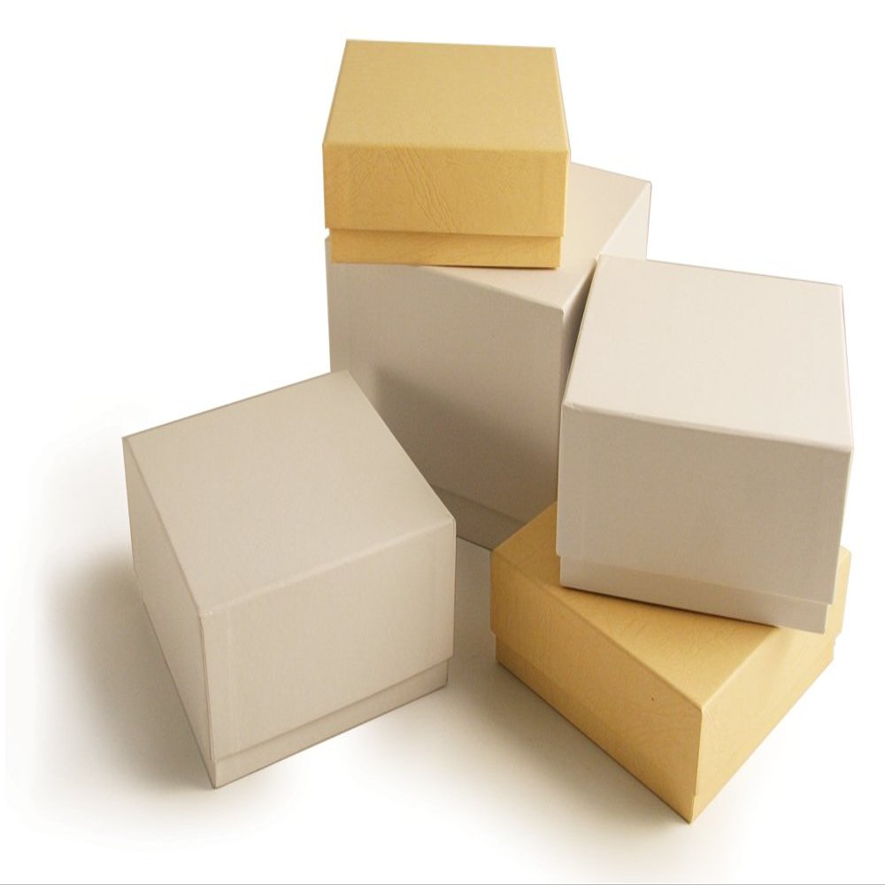 BioExcell Standard White 2" Box w/81 Cell Divider, EA1