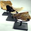 6.2" Display Stand for Slab/Slice/Fossil/Flat Minerals Base for Rocks Minerals and Crystals Black One Arm Two Prong Holder view 3