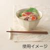 07600534 Commercial Tableware Wasui Rice 4.2 view 2