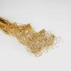Curly & wavyTing Ting -- Tingting Large 4-6 oz Bunch 50 Stems per Bunch About 26in. Long -- Single Bunch - Gold Glittered view 2