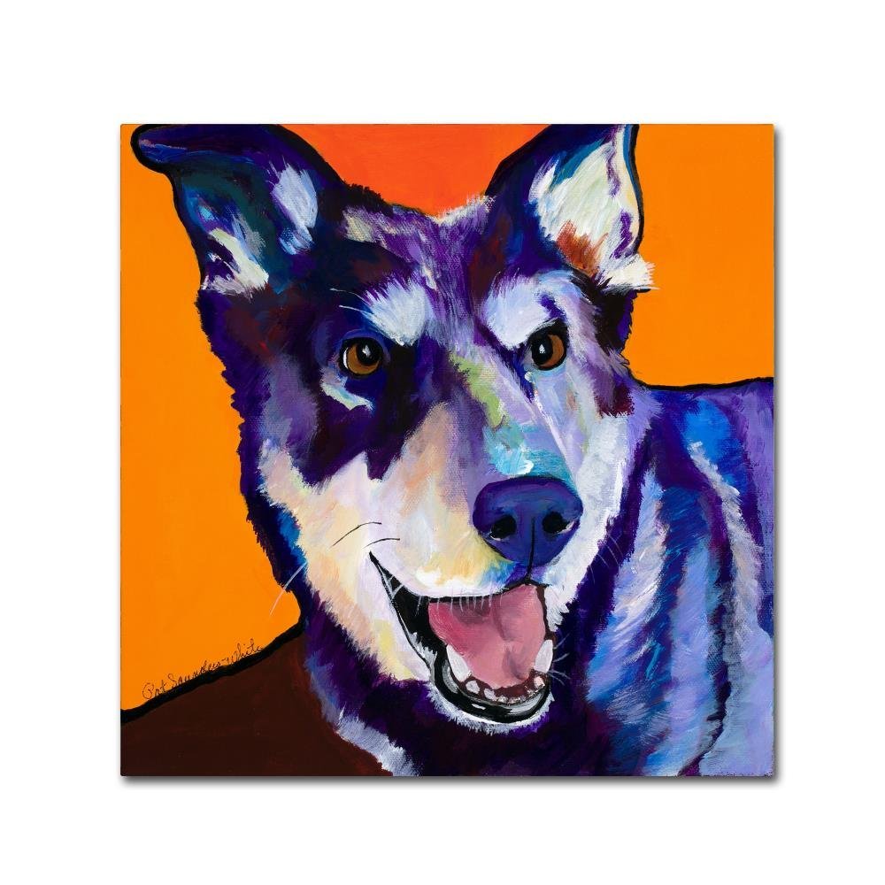 Trademark Fine Art Charley by Pat Saunders-White, 18x18-Inch-Inch