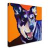 Trademark Fine Art Charley by Pat Saunders-White, 18x18-Inch-Inch view 2
